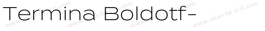 Termina Boldotf字体转换
